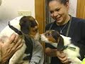 Dogs Rescued From Breeding Operation Up For Adoption