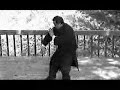 Sifu Andrew Chung Hsing-i Chuan