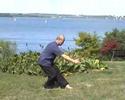 Taijiquan 88 forms  88式太极拳 1/2