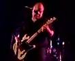 videos de black francis veloria 2