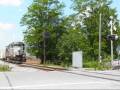 Chasing the Nittany and Bald Eagle