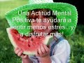 Estrés Estrés