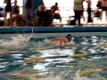 COMPETENCIA NATACIÓN (CHACRAS DE CORIA) COMPETENCIA NATACIÓN (CHACRAS DE CORIA)
