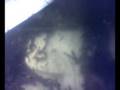 videos de Artemia Culture