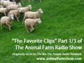 Farm Favorite Clips Part 1/3 - The Animal Farm Radio Show