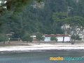 Ver Video