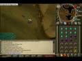 [PERFECT]Bronze dragon guide with d scim