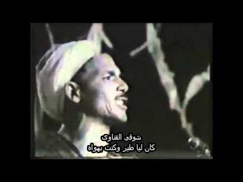 شوقى - شوقى القناوى مطرب شعبى من الصعيد حصل على شهرة واسعة ومن اشهر اغانيه السيرة الهلالية.