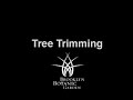 Brooklyn Botanic Garden: Tree Trimming
