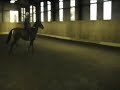 3 Clip Improvent Vid on Folly
