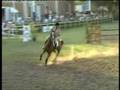 videos de Rodrygo barrage  c 125 lavinaio 29 luglio 2007.mp4