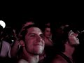 vitalic-birds.html