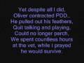PDD Movie