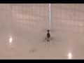 RC helicopter stunt flights in Gulfstream hangar