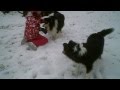 Sixten & Nikki & Amanda Riddarhyttan 2011-12-17 VID00286.AVI