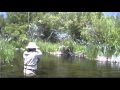 Idylwilde Creek