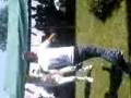 videos de Banketi i Blendit ne Gjakov