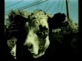 Animinimalista liberame xyzveganitos123 free me