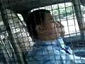 Taxista ao telefone