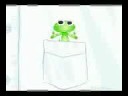 Gecko