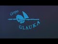 javier acón orea de la cadena de franquicias grupo glauka 