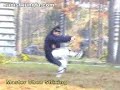 wudang kungfu - fu hua quan wudang kungfu - fu hua quan