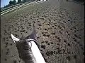 Horse Racing upclose and personal