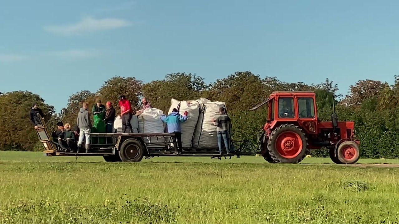 Der Ernte-Hänger am Kreuz...