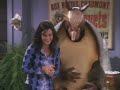 Friends - The Holiday Armadillo