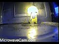 MicrowaveCam.com - Plasma Fireball Captured! (slow motion) MicrowaveCam.com - Plasma Fireball Captured! (slow motion)