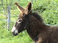 Notre ferme pédagogique - l\ Notre ferme pédagogique - l\