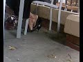 Candid indian shoeplay dangling heel pop foot rubbing soles Candid indian shoeplay dangling heel pop foot rubbing soles