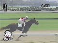 19981004_Real Vision