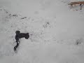 MONTAGNETTA DI SAN SIRO CON LA NEVE