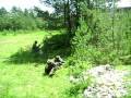 Tactical paintball games in Lviv, Ukraine. orni.lviv.ua