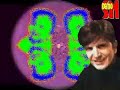 DER BABYSITTER BOOGIE - demo - Serge Nelson DER BABYSITTER BOOGIE - demo - Serge Nelson