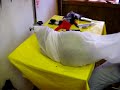 Preparing To Bathe A Cat