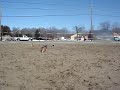 MOV01990.MPG