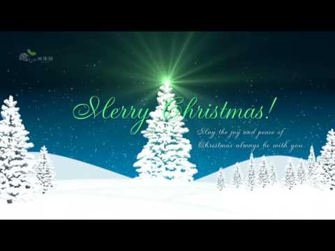 クリスマス カード 動画