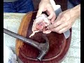 autopsia da paca