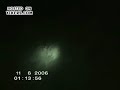 aliens in forest aliens in forest