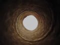 videos de Shigeru Ban.mov