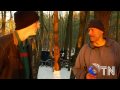 Homeless In America (1/2)