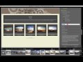 TTG Highslide Gallery Pro Video Manual Chapter 1, Part 5 Site Info pane