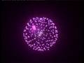 fireworks peony.mpg
