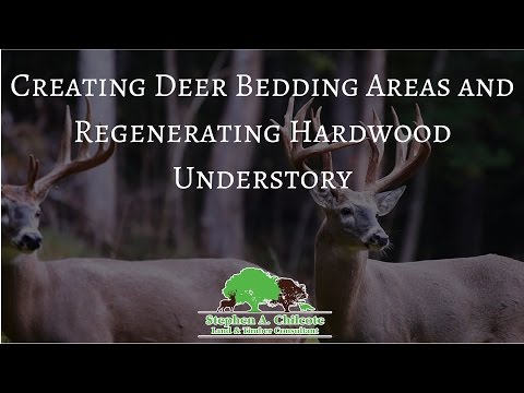 how to provide deer bedding areas