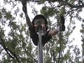 COPK \"Ninja Warrior Night\" COPK \"Ninja Warrior Night\"