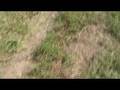 Survival Gardening 10, self reliance emergency preparedness
