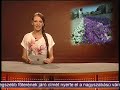 Virágos Újpest Virágos Újpest
