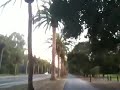 video1.mov Video video1.mov Video